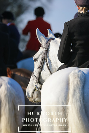 Hurworth Hunt 315