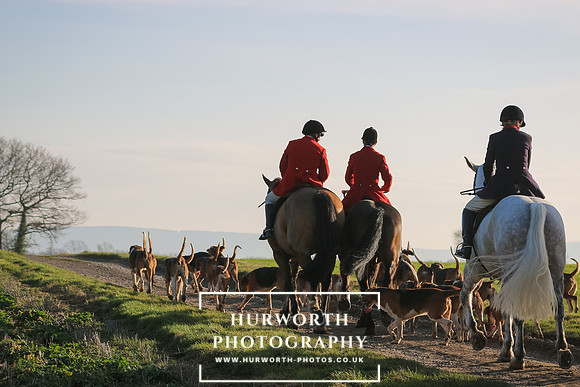 Hurworth Hunt 316