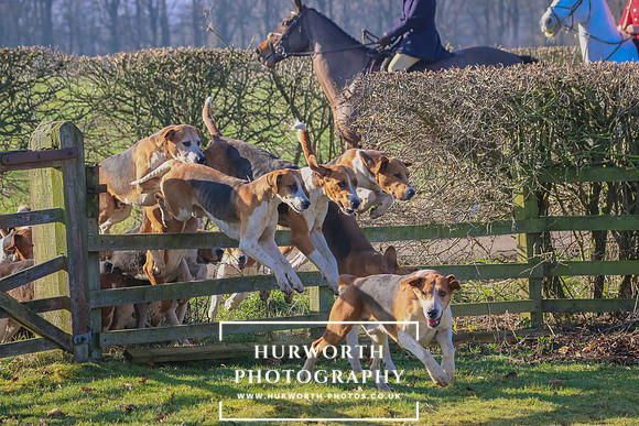 Hurworth Hunt 9