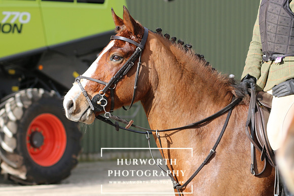 Hurworth 35