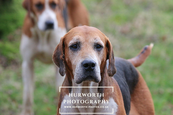 Hurworth 208