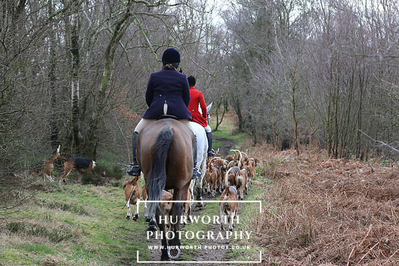 Hurworth 212