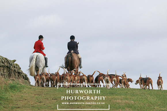 Hurworth 223