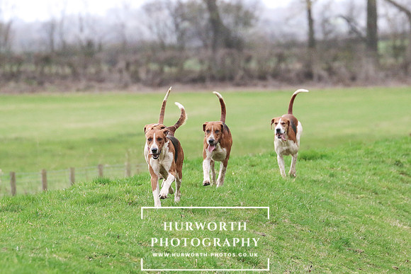 Hurworth 258