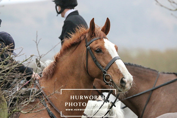 Hurworth 381