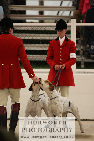 Harrogate Hound Show 028