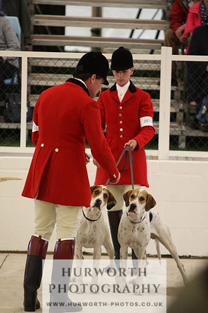 Harrogate Hound Show 030
