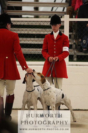 Harrogate Hound Show 029