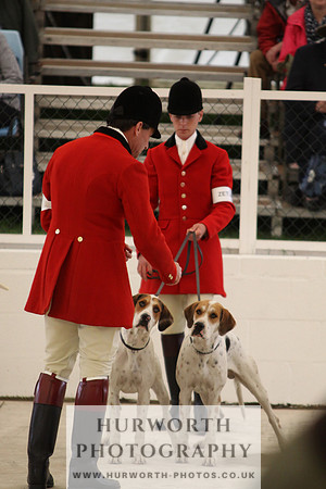 Harrogate Hound Show 031