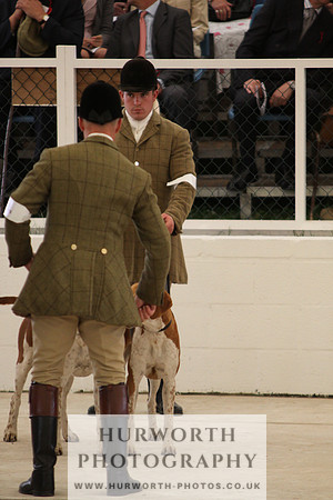 Harrogate Hound Show 034