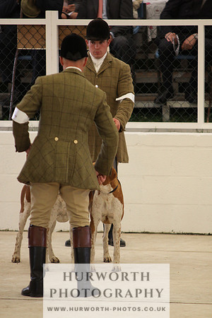 Harrogate Hound Show 035