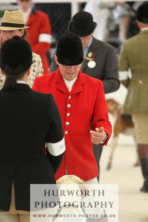 Harrogate Hound Show 036