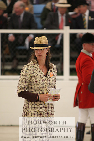 Harrogate Hound Show 038