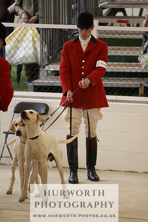 Harrogate Hound Show 041