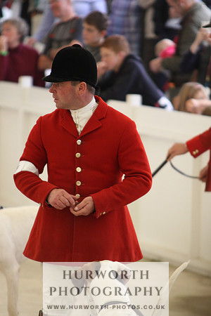Harrogate Hound Show 042