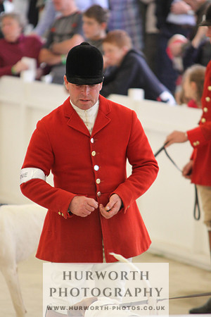 Harrogate Hound Show 043