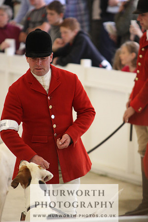 Harrogate Hound Show 044