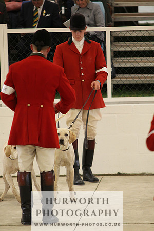 Harrogate Hound Show 048