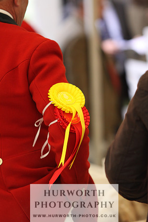 Harrogate Hound Show 058