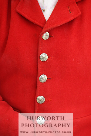 Harrogate Hound Show 059