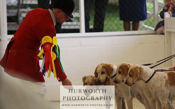 Harrogate Hound Show 069