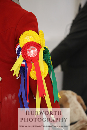 Harrogate Hound Show 073