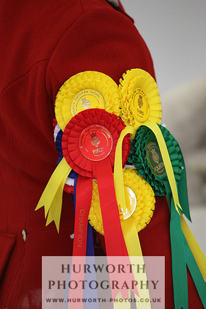 Harrogate Hound Show 074