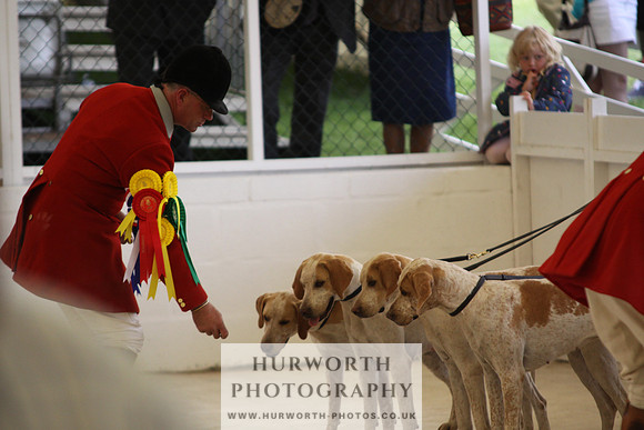 Harrogate Hound Show 075