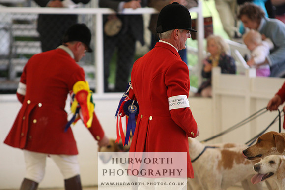 Harrogate Hound Show 076