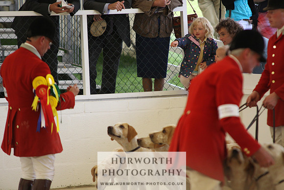 Harrogate Hound Show 077
