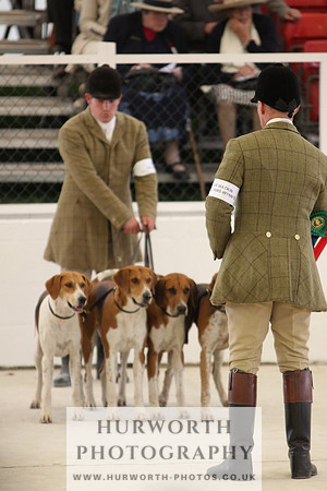 Harrogate Hound Show 079