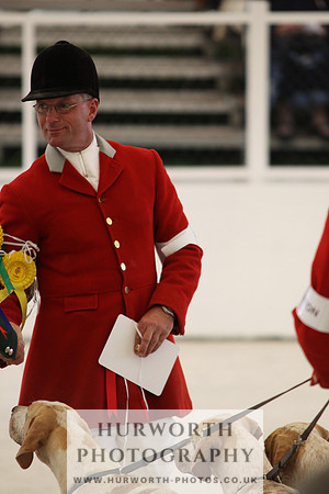 Harrogate Hound Show 084