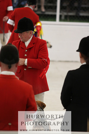 Harrogate Hound Show 086