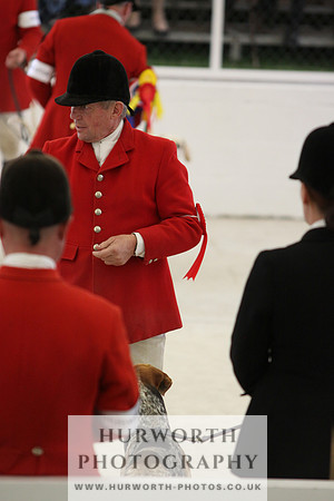 Harrogate Hound Show 087