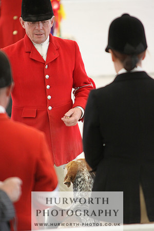 Harrogate Hound Show 088
