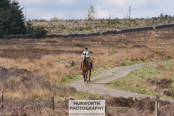 Hurworth Farm Ride 010