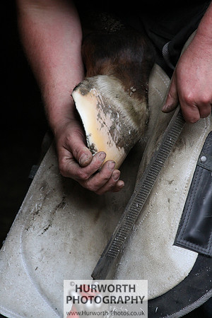 Farrier 014