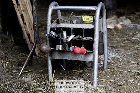 Farrier 017
