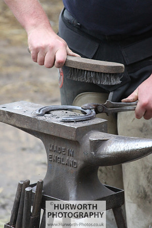 Farrier 020