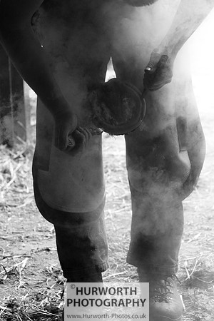 Farrier 023