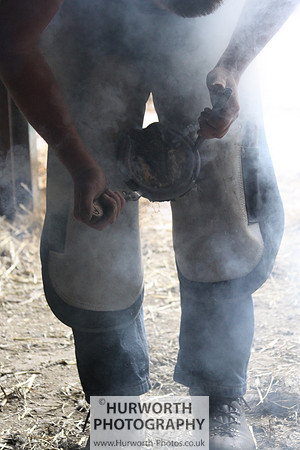 Farrier 024