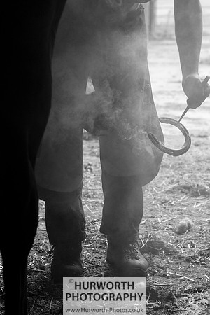 Farrier 025