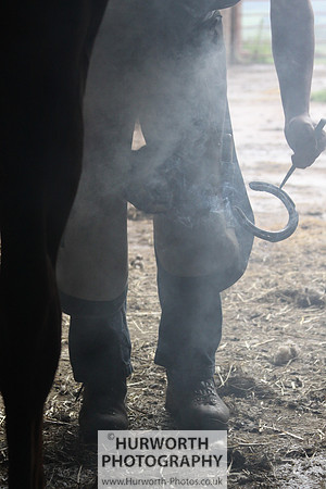 Farrier 026