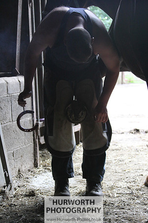 Farrier 027