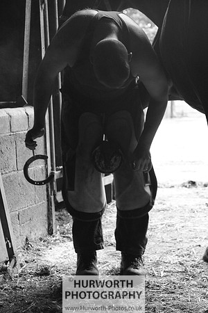 Farrier 028