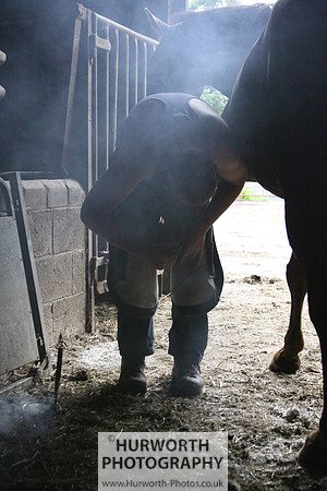 Farrier 029