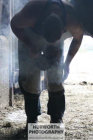 Farrier 032