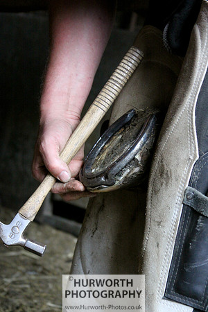 Farrier 037