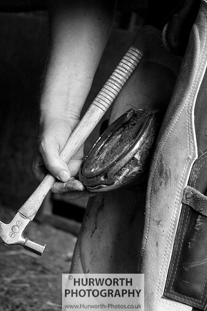 Farrier 038