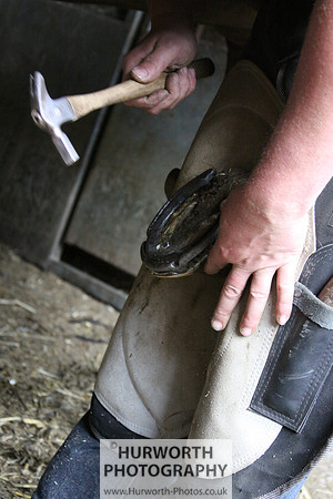 Farrier 039